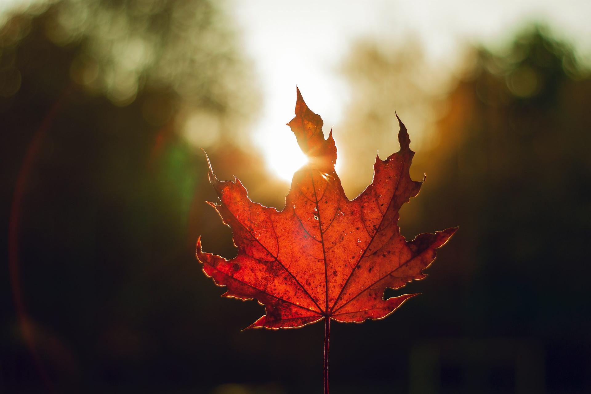Happy Fall, Ya’ll: Autumnal Equinox