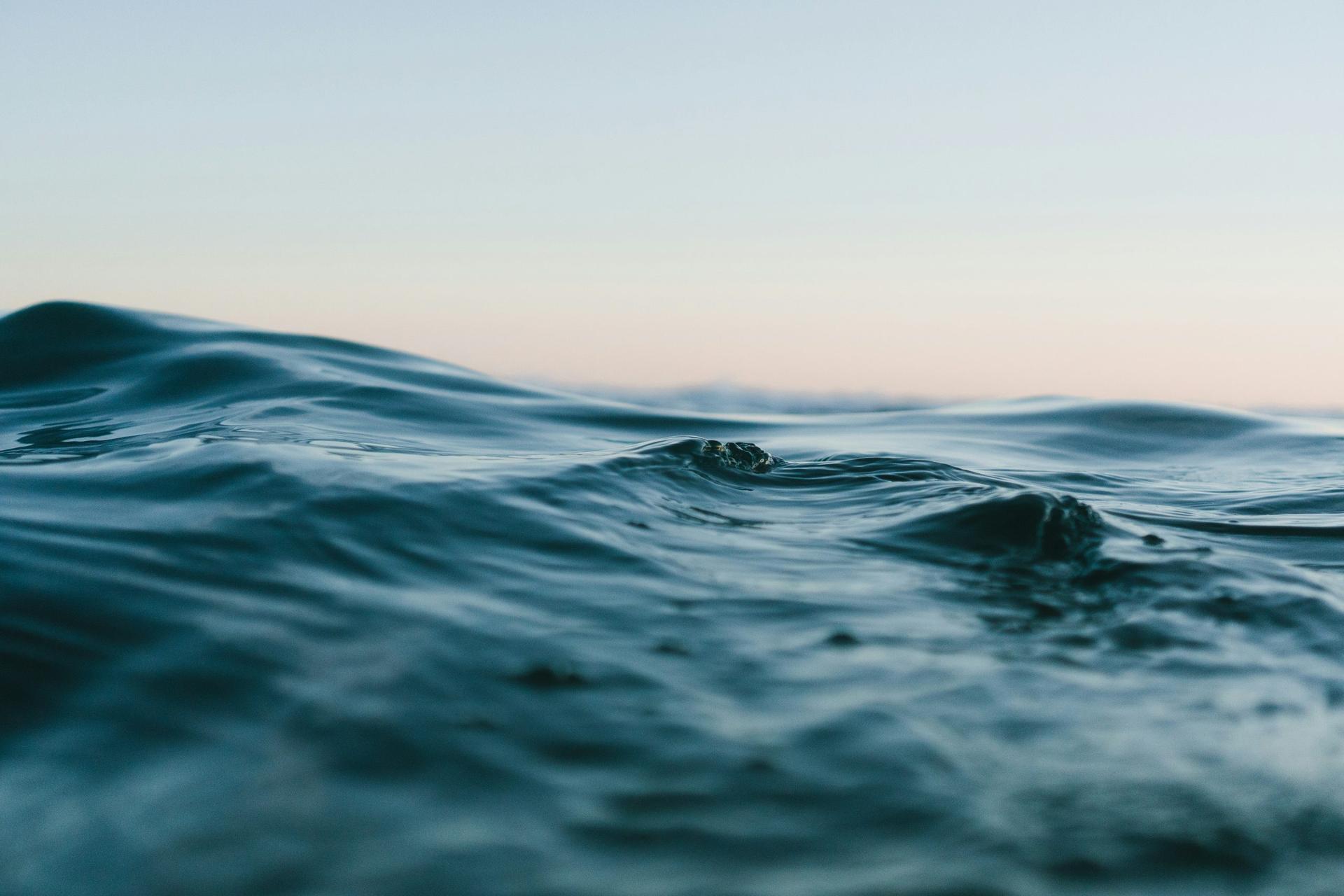 Boscobel Man Drowns in Private Pond