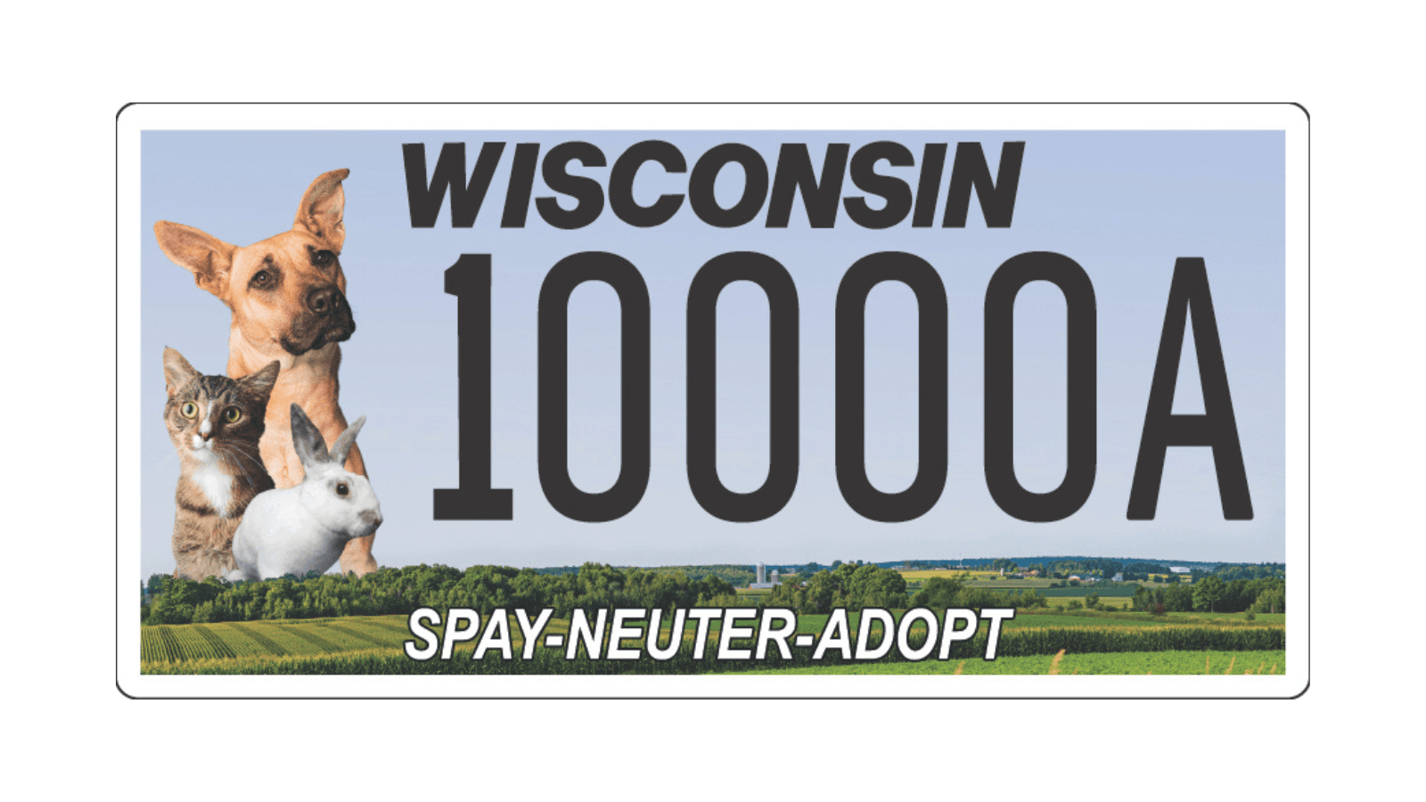 License Plate Helps Fund Spay and Neuter Efforts in Wisconsin