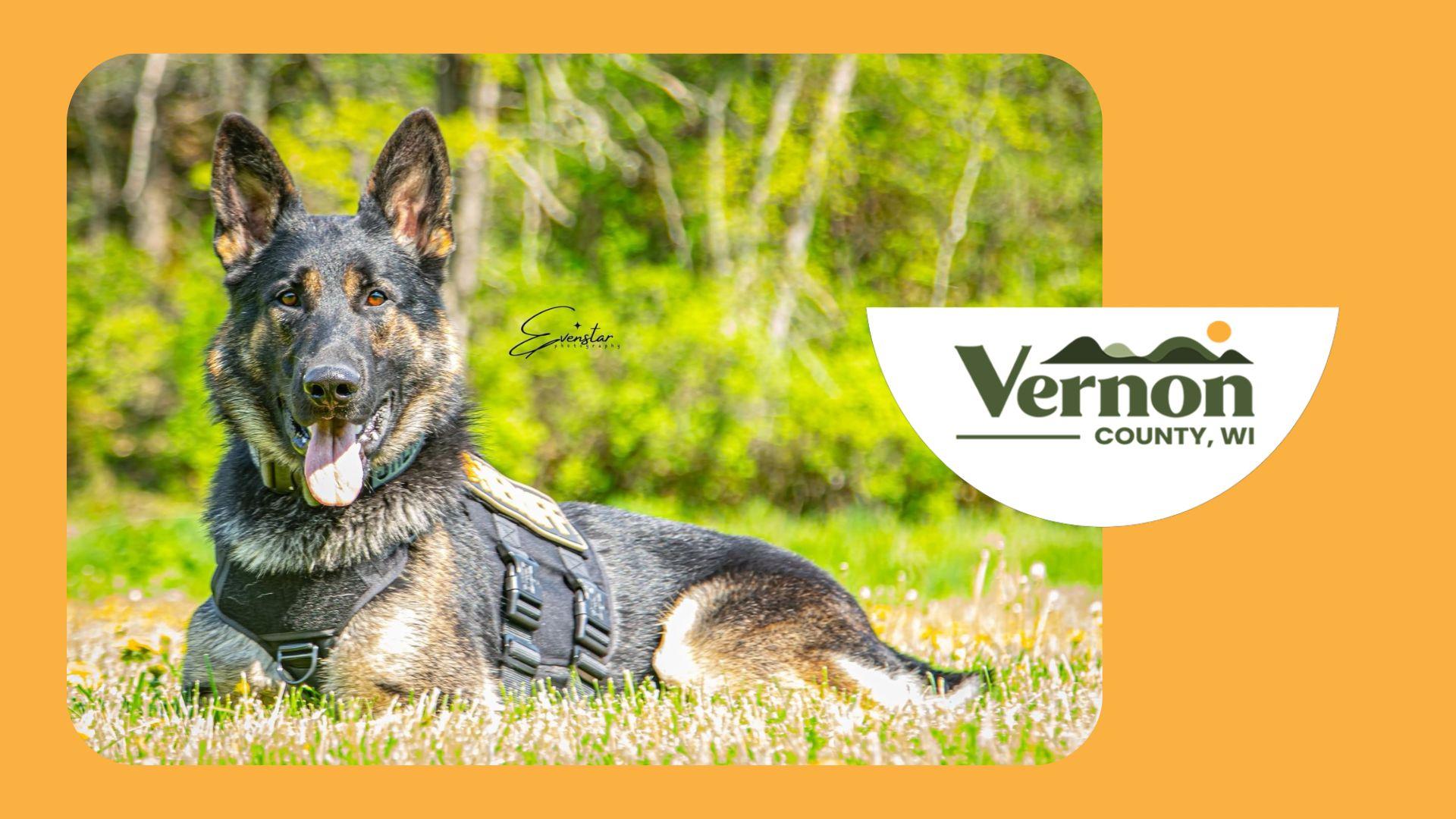 K-9 Run/Walk and Kids Fun Run in Vernon County